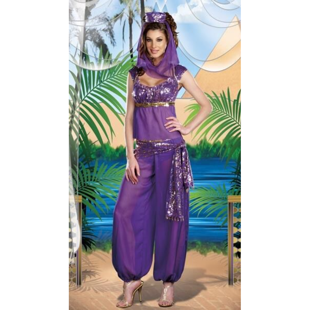 Purple Genie Fancy Dress Arabian Princess Costume Belly Dancer - Image 2